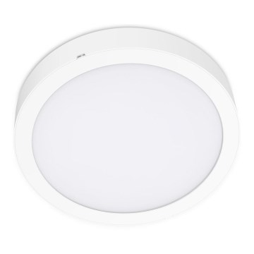 Plafonnier SIGARO CIRCLE LED/24W/230V 4000K IP40