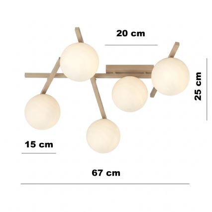 Plafonnier SMART 5xE14/10W/230V beige/blanc