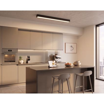 Plafonnier/suspension LED sur câble, 44 W, 230 V, 3000 K, 120 cm, noir