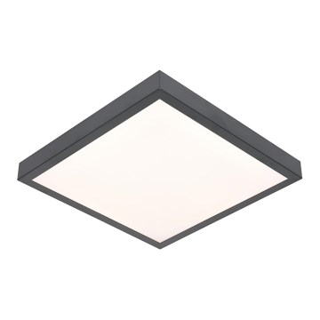 Plafonnier VITALI LED/24W/230V