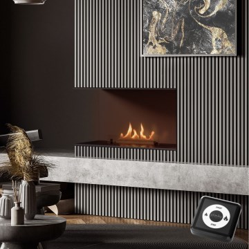 Planika Senso Fireplace BEV- Cheminée encastrée SENSO BIO 56,2x75 cm 2,5kW+ télécommande