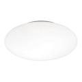 Prezent 25077 - Verre de rechange pour plafonnier VALEO E14