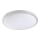Prezent 71339 - Plafonnier LED dimmable AMBIA LED/30W/230V 3000/4000/6500K Ø 39,5 cm transparent