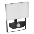 Projecteur avec détecteur TAMBO LED/20W/230V 4000K IP54