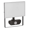 Projecteur avec détecteur TAMBO LED/30W/230V 4000K IP54