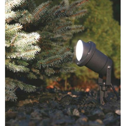 Projecteur extérieur 1xGU10/35W/230V IP65