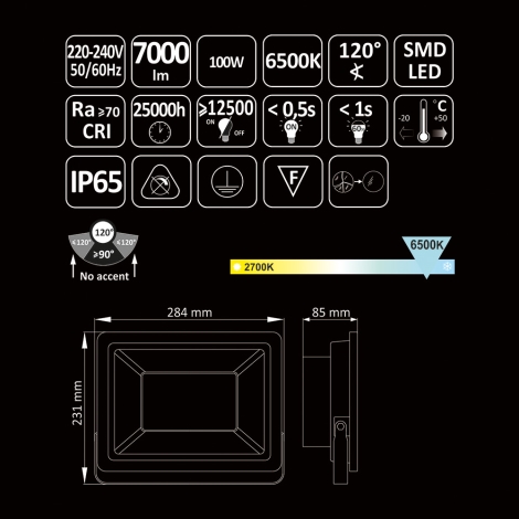 Projecteur LED - 100W IP65 - 6000K - Garantie 3 ans