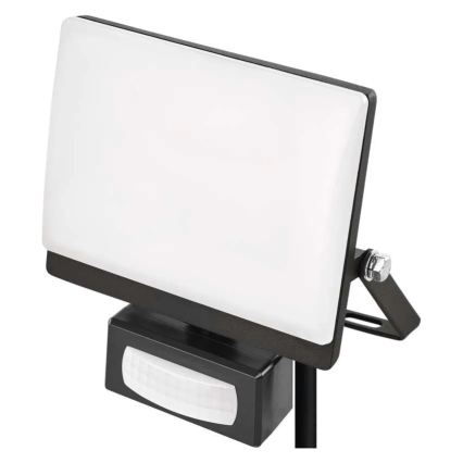 Projecteur LED avec détecteur de mouvement et capteur crépusculaire TAMBO EVO LED/20W/230V 4000K IP44 noir