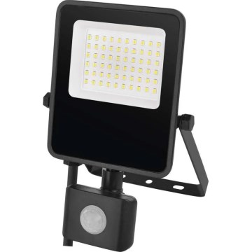 Projecteur LED avec capteur VISIO LED/30W/230V 4000K IP65