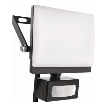 Projecteur LED avec détecteur de mouvement et capteur crépusculaire TAMBO EVO LED/20W/230V 4000K IP44 noir