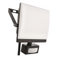 Projecteur LED avec détecteur de mouvement et capteur crépusculaire TAMBO EVO LED/50W/230V 4000K IP44 noir