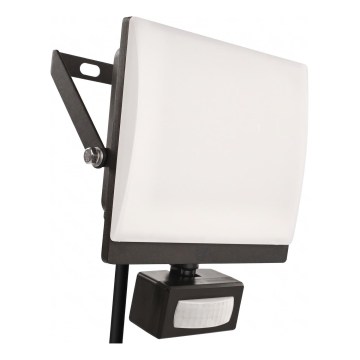 Projecteur LED avec détecteur de mouvement et capteur crépusculaire TAMBO EVO LED/50W/230V 4000K IP44 noir