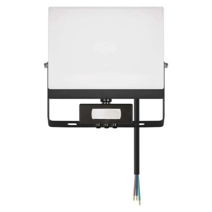 Projecteur LED avec détecteur de mouvement et capteur crépusculaire TAMBO EVO LED/50W/230V 4000K IP44 noir