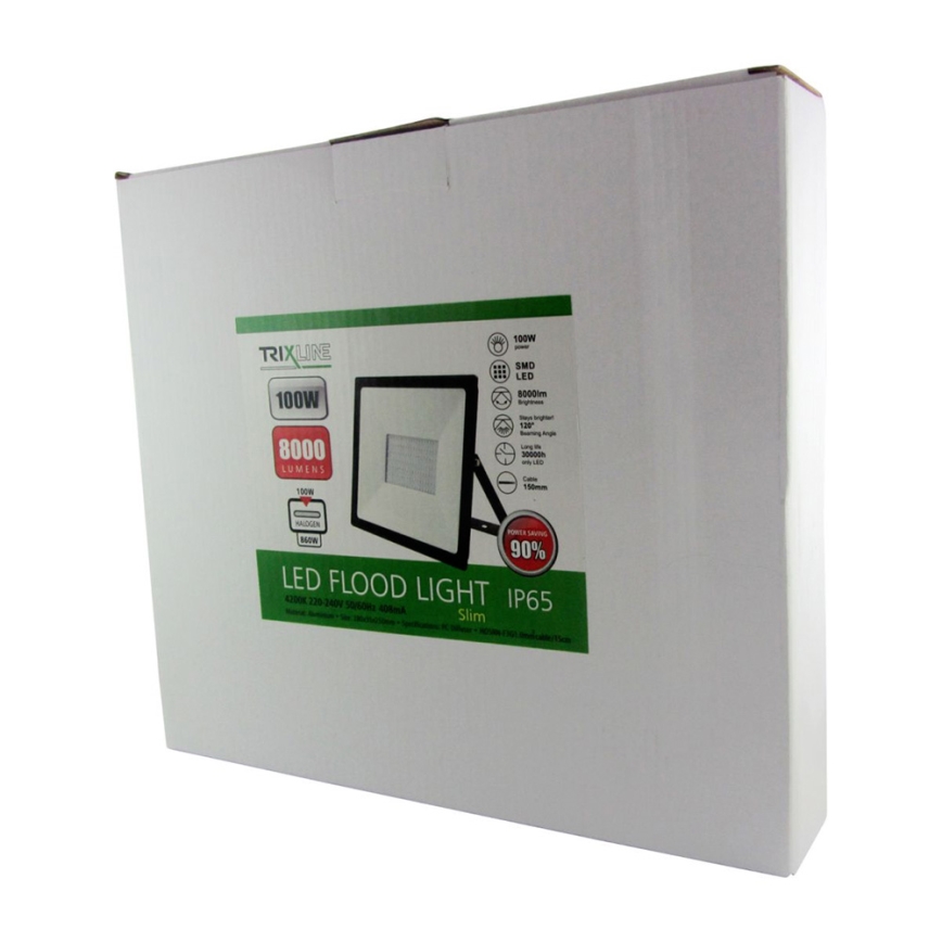 Projecteur LED LED/100W/230V IP65