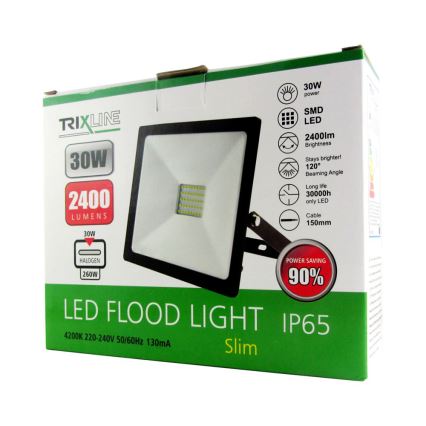 Projecteur LED LED/30W/230V IP65