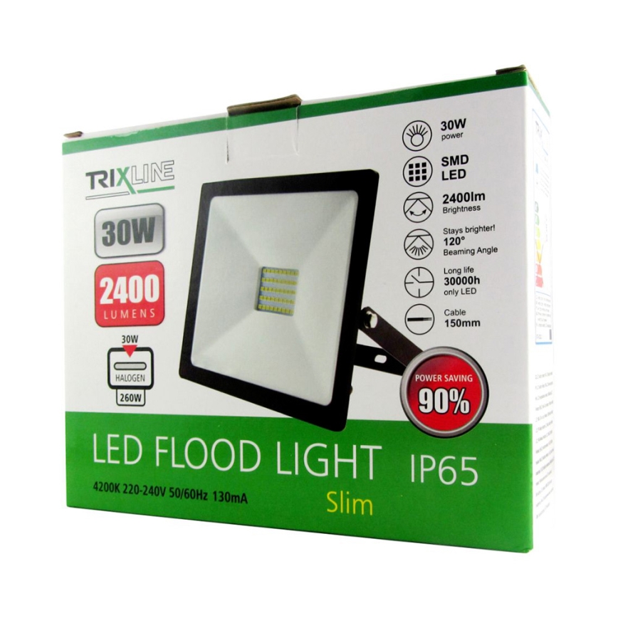 Projecteur LED LED/30W/230V IP65