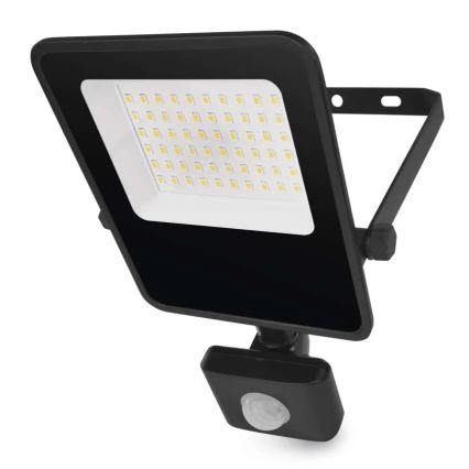 Projecteur LED avec capteur VISIO LED/30W/230V 4000K IP65
