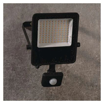 Projecteur LED avec capteur VISIO LED/50W/230V 4000K IP65
