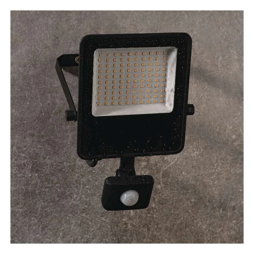 Projecteur LED avec capteur VISIO LED/50W/230V 4000K IP65