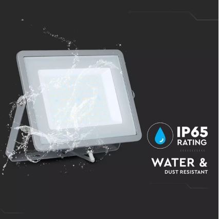 Projecteur SAMSUNG CHIP LED/100W/230V IP65 6400K gris