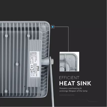 Projecteur SAMSUNG CHIP LED/100W/230V IP65 6400K gris