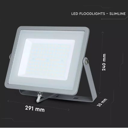 Projecteur SAMSUNG CHIP LED/100W/230V IP65 6400K gris