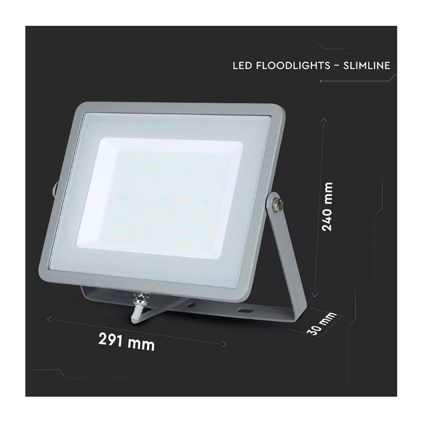 Projecteur SAMSUNG CHIP LED/100W/230V IP65 6400K gris