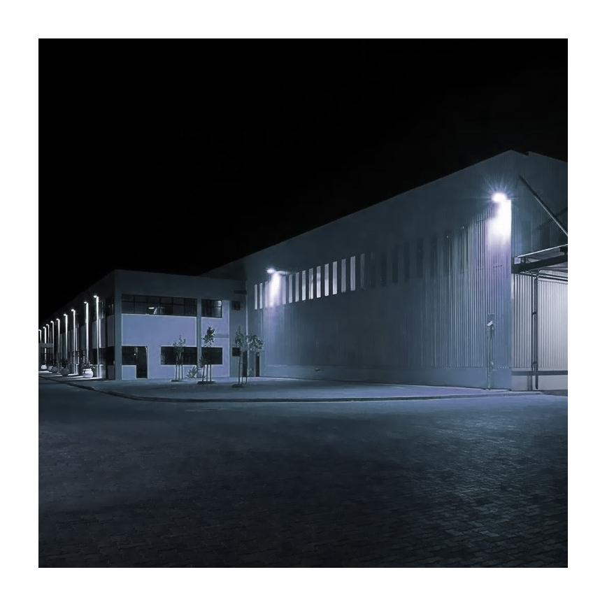 Projecteur SAMSUNG CHIP LED/100W/230V IP65 6400K gris