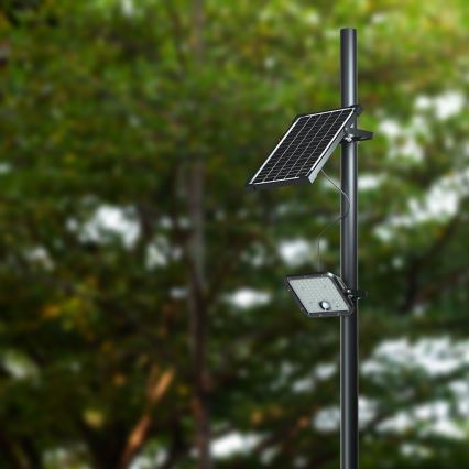 Projecteur solaire à intensité variable avec détecteur LED/10W/3,7V 4000/6000K IP65 + télécommande