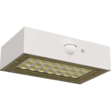 Projecteur solaire avec détecteur de mouvement LED/3,7V 1200mAh 4000K IP65 blanc