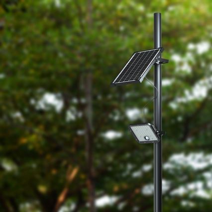 Projecteur solaire LED avec détecteur LED/30W/6,4V 6400K 6000 mAh + télécommande