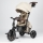 QPlay - Tricycle évolutif 8-en-1 COMFO MAX beige