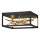 Quintiesse - Plafonnier LED STYX LED/8W/230V noir/doré