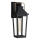 Quoizel - Applique murale extérieure BUCKLEY 1xE27/40W/230V IP44 noir