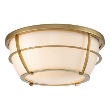 Quoizel - Plafonnier de salle de bain CHANCE 2xE27/60W/230V IP44