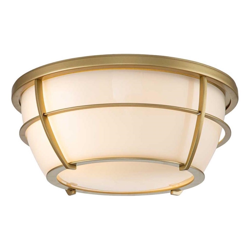 Quoizel - Plafonnier de salle de bain CHANCE 2xE27/60W/230V IP44