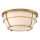 Quoizel - Plafonnier de salle de bain CHANCE 2xE27/60W/230V IP44