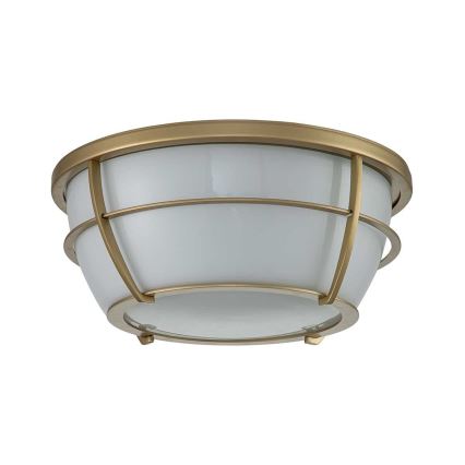 Quoizel - Plafonnier de salle de bain CHANCE 2xE27/60W/230V IP44