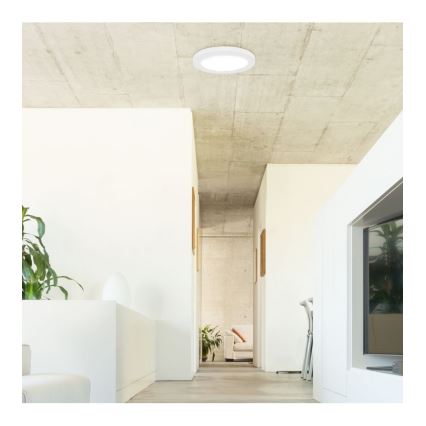 Rabalux - Plafonnier LED avec détecteur, 18 W, 230 V, 4000 K, Ø 22,5 cm