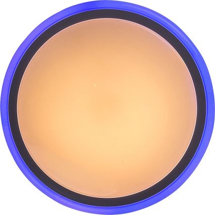 Rabalux - Plafonnier LED dimmable avec télécommande RGB LED/32W/230V Ø 40 cm