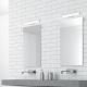 Rabalux - Eclairage de miroir LED salle de bain LED/6W/230V 34cm