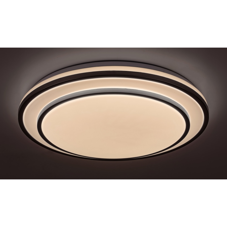 Rabalux - Plafonnier LED à intensité variable LED/40W/230V 3000-6500K argenté + télécommande