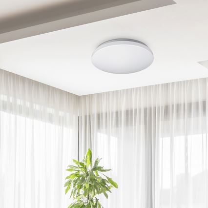 Rabalux - Plafonnier 1xLED/32W/230V d. 38 cm