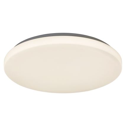 Rabalux - Plafonnier 1xLED/32W/230V d. 38 cm