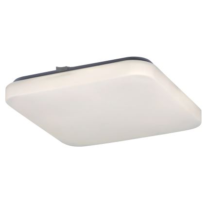 Rabalux - Plafonnier 1xLED/20W/230V 28x28 cm