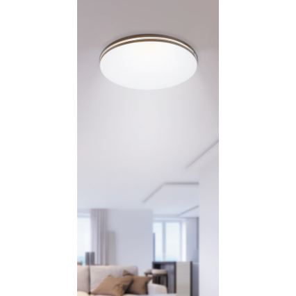 Rabalux - Plafonnier LED 1xLED/18W/230V