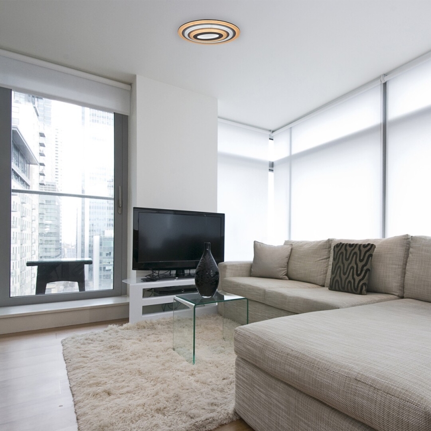 Rabalux - Plafonnier LED dimmable LED/41W/230V + télécommande Ø 53 cm