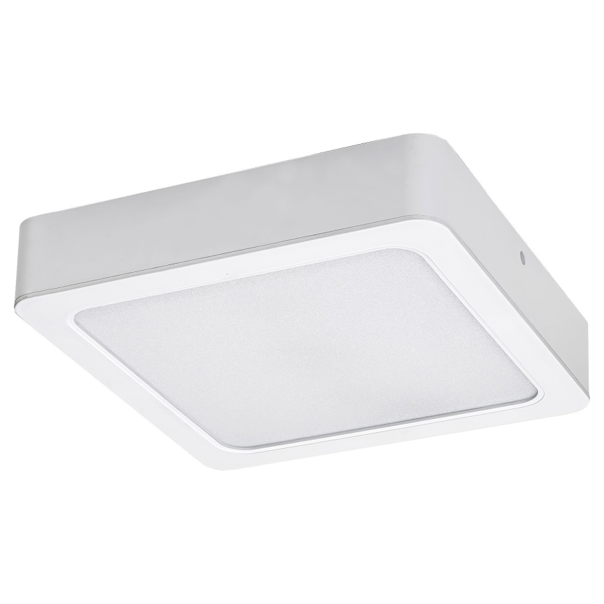 Rabalux - plafonnier LED LED/18W/230V 17 cm