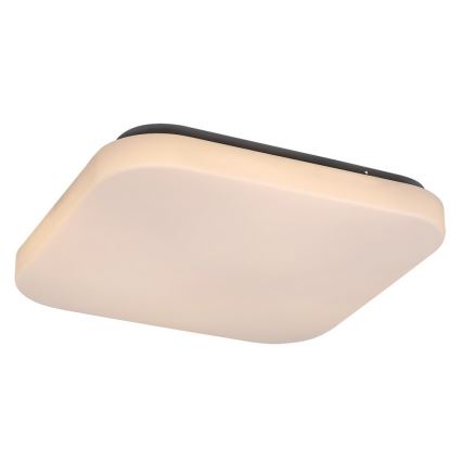 Rabalux - Plafonnier 1xLED/20W/230V 29x29 cm