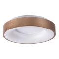 Rabalux 5053 - Plafonnier LED CARMELA LED/50W/230V